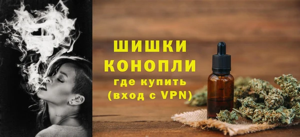винт Дмитриев