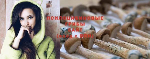 бошки Елабуга