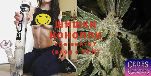 дурь Ельня