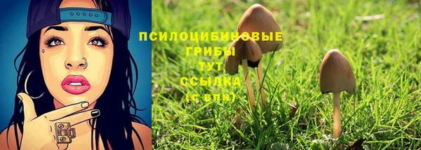 дурь Нестеровская