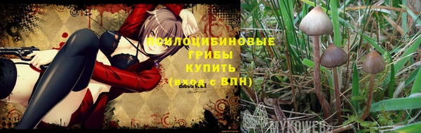 бошки Елабуга