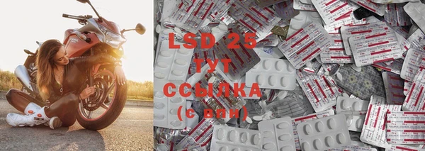 дурь Ельня