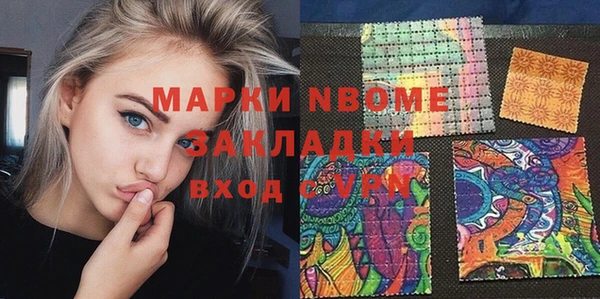 дурь Ельня