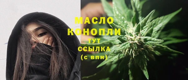 дурь Ельня
