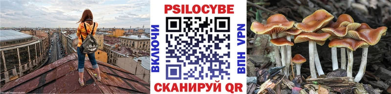hydra маркетплейс Печоры Галлюциногенные грибы Psilocybine cubensis